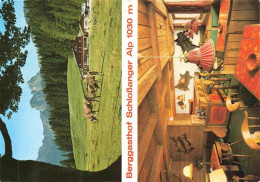 Delcampe - Obermeilingen Pfronten Berggasthof Schlossanger Alp Gastraum - Pfronten