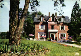 Delcampe - CPSM Forges Les Eaux Seine Maritime Le Chateau De L'Epinay - Forges Les Eaux