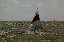 Delcampe - CPM Planche A Voile En Mer - Feurs
