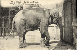 Delcampe - CPA Elephant Paris Jardin Des Plantes L'elephant Houthc Demandant La Porte - Olifanten
