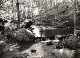 Delcampe - CPM Cernay S Et O Les Cascades - Cernay