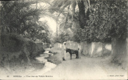 Delcampe - CPA Biskra Une Rue Au Vieux Biskra - Biskra
