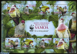 Delcampe - Samoa 2011 Fruit-Dove Of Samoa, WWF M/s, Mint NH, Nature - Birds - World Wildlife Fund (WWF) - Samoa