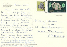 Delcampe - Kenya  Minéraux  Tourmaline Galene - Mineralien