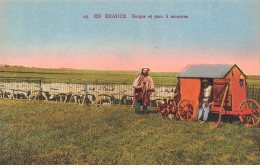 Delcampe - MIKIEP7-012- AGRICULTURE EN BEAUCE BERGER ET PARC A MOUTONS - Viehzucht