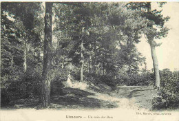Delcampe - Carte Postale Ancienne - 91 - Limours - Un Coin Des Bois - Animée - CPA - Oblitération De 1907 - Voir Scans Recto-Verso - Limours