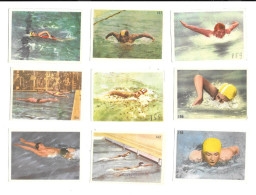 Delcampe - GF2401 - IMAGES BIERES MOTTE CORDONNIER ARMENTIERES - NATATION - Nuoto