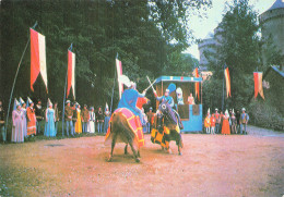 Delcampe - 53 LASSAY LES CHATEAUX - Lassay Les Chateaux