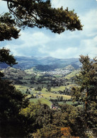 Delcampe - 15-MURAT-N°T2674-D/0185 - Murat