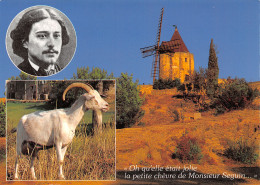 Delcampe - 13-FONTVIEILLE-N°T2677-B/0101 - Fontvieille