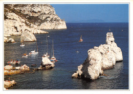 Delcampe - 13-CASSIS SUR MER-N°T2677-B/0087 - Cassis