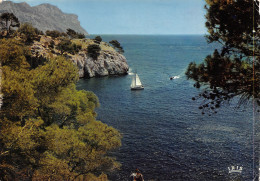 Delcampe - 13-CASSIS SUR MER-N°T2677-B/0081 - Cassis