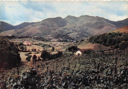 Delcampe - 64-BIDART-BIDART-N°7047-D/0113 - Bidart