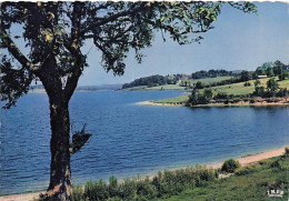 Delcampe - 12-RODEZ-CAPITALE DU ROUERGUE-N°7047-D/0051 - Rodez