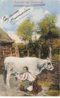 Delcampe - ROUMANIE #FG62476 SALUTARI DIN ROMANIA FEMME PAYSANNE ET VACHE TYPE DE - Rumänien
