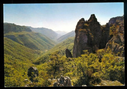 Delcampe - Lodève La Valée Vue Du Col De Escalette édition J.LEVEQUE VV 1609 - Lodeve