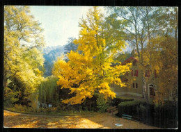 Delcampe - Virieu Le Repos De Virieu édition Cellard VV 1607 - Virieu