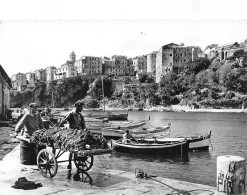 Delcampe - BASTIA (Corse) - Le VIeux Port Et La Citadelle - Pousseur De Charrette, Goémon !? - Voyagé 1962 (2 Scans) - Bastia