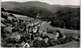 Delcampe - Schoenmuenzach - Baiersbronn