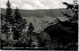 Delcampe - Mitteltal - Baiersbronn