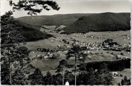 Delcampe - Mitteltal - Baiersbronn