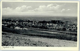 Delcampe - Ingelheim Rhein - Ingelheim