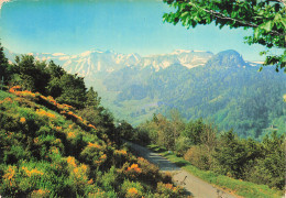 Delcampe - 63 LA BOURBOULE LA CHAINE DU SANCY - La Bourboule