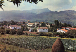Delcampe - 64 ASCAIN VUE GENERALE AU FOND LA RHUNE - Ascain