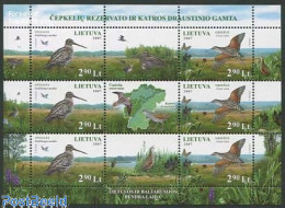 Delcampe - Lithuania 2007 Nature, Joint Issue Belarus M/s, Mint NH, Nature - Various - Birds - Butterflies - Joint Issues - Gemeinschaftsausgaben