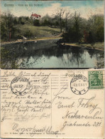 Delcampe - Ansichtskarte Chemnitz Partie Aus Dem Stadtpark 1910 - Chemnitz