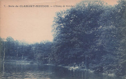 Delcampe - 92 CLAMART L ETANG DE VILLEBON - Clamart
