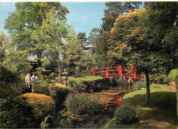 Delcampe - Carte Postale - Irlande - Kildare - Tully - Japanese Gardens - Jardin Japonais - Ireland - Irlanda - CPM - Voir Scans Re - Kildare