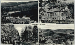 Delcampe - Seesen Harz Seesen Sanatorium Gasthof Gruener Jaeger * - Seesen