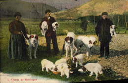 Delcampe - CPA Chiens De Montagne Chien - Perros