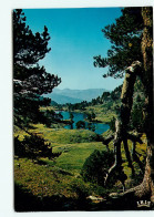Delcampe - Chamrousse, Lac Achard (scan Recto-verso) KEVREN0012 - Chamrousse
