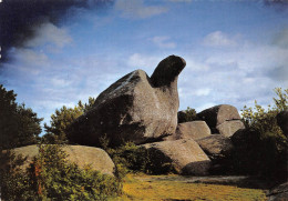 Delcampe - CASTRES Le Roc De L'oie Le Sidobre 1 (scan Recto Verso)KEVREN00009VIC - Castres