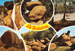 Delcampe - CASTRES Le Roc De L'oie Le Sidobre Saut De La Truite 2 (scan Recto Verso)KEVREN00009VIC - Castres