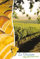 Delcampe - Vignoble Charentais VIBRAC 14 (scan Recto-verso)KEVREN0009Und - Rouillac