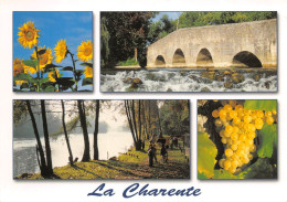 Delcampe - VIBRAC Multivue 14 (scan Recto-verso)KEVREN0009Und - Rouillac