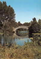 Delcampe - CHATEAUNEUF Sur CHARENTE Le Pont Romain 30 (scan Recto-verso)KEVREN0008Und - Chateauneuf Sur Charente
