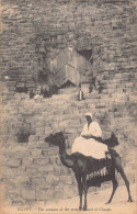 Delcampe - Egypt Entrance Pyramid Of Cheops Camel Native Ethnic Postcard C419 - Kairo