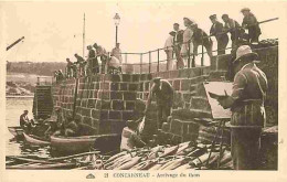 Delcampe - Carte Postale Ancienne - 29 - Concarneau - Arrivage Du Thon - Animée - CPA - Voir Scans Recto-Verso - Poscard - Carta Po - Concarneau