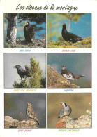 Delcampe - Carte Postale - Animaux - Oiseaux - Bretagne - Multivues - CPM - Voir Scans Recto-Verso - Poscard - Carta Postal -  Post - Vogels