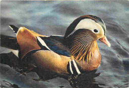 Delcampe - Carte Postale - Animaux - Oiseaux - Mandarin Drake - Canard - Timbre Du Kenya - CPM - Voir Scans Recto-Verso - Poscard - - Vogels