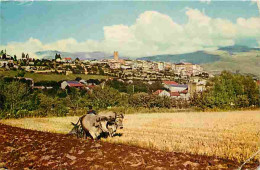 Delcampe - Carte Postale - Animaux - Vaches - Espagne - Pyrénées Orientales Espagnoles - Charrue - Champs - Paysans - Etat Pli Visi - Cows