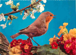 Delcampe - Carte Postale - Animaux - Oiseaux - Rouge Gorge - CPM - Voir Scans Recto-Verso - Poscard - Carta Postal -  Postkarte - Vogels