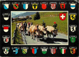 Delcampe - Carte Postale - Animaux - Vaches - Suisse - Alpaufzug - Blasons - Folklore - CPM - Voir Scans Recto-Verso - Poscard - Ca - Cows