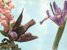 Delcampe - Carte Postale - Animaux - Oiseaux - A Définir - Petit Oiseau - CPM - Voir Scans Recto-Verso - Poscard - Carta Postal - - Vogels