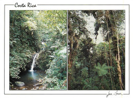 Delcampe - Carte Postale - Format - 148 X 108 Mms - Costa Rica - Monteverde : Bosque Nuboso - Foret Tropicale Humide  - CPM - Carte - Costa Rica