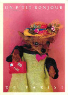 Delcampe - Carte Postale - Animaux - Chiens - Chihuahua - Carte Humoristique - Animaux Humanisés - CPM - Voir Scans Recto-Verso - P - Chiens